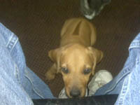 Kizzy