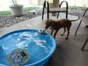 Kizzy Playing