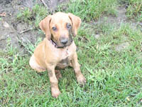 Muddy Kizzy