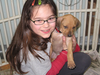 Nick & Saba Pups
