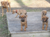 7 Weeks