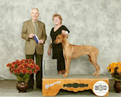 Kizzy Show Picture