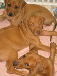 8 Weeks