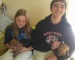 Tess's Visitors