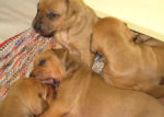 Two Weeks Old