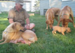 4 Weeks Old
