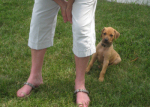 6 Weeks Old
