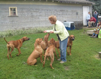 Grandma has treats